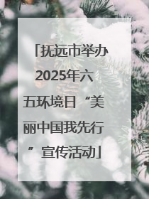 抚远市举办2025年六五环境日“美丽中国我先行”宣传活动