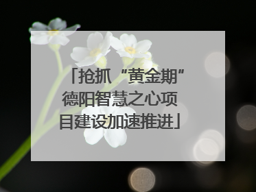 抢抓“黄金期” 德阳智慧之心项目建设加速推进