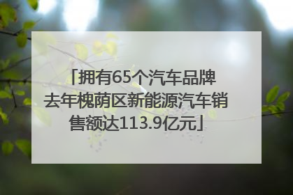 拥有65个汽车品牌 去年槐荫区新能源汽车销售额达113.9亿元