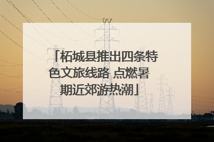 柘城县推出四条特色文旅线路 点燃暑期近郊游热潮