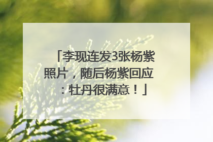 李现连发3张杨紫照片，随后杨紫回应：牡丹很满意！
