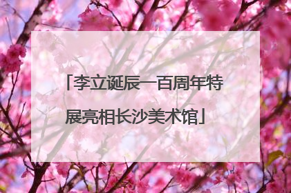 李立诞辰一百周年特展亮相长沙美术馆