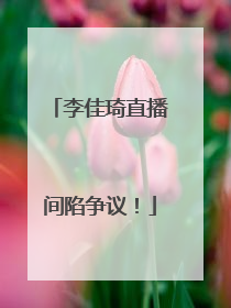 李佳琦直播间陷争议！