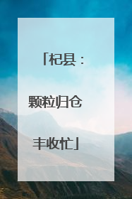杞县：颗粒归仓丰收忙