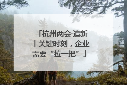 杭州两会·追新丨关键时刻，企业需要“拉一把”