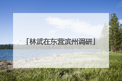 林武在东营滨州调研