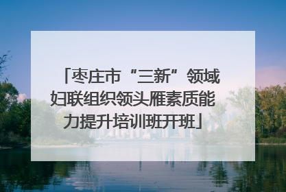 枣庄市“三新”领域妇联组织领头雁素质能力提升培训班开班