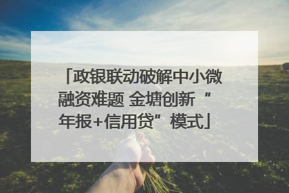 政银联动破解中小微融资难题 金塘创新“年报+信用贷”模式