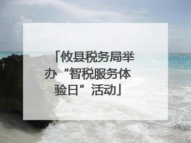 攸县税务局举办“智税服务体验日”活动