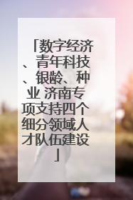 数字经济、青年科技、银龄、种业 济南专项支持四个细分领域人才队伍建设