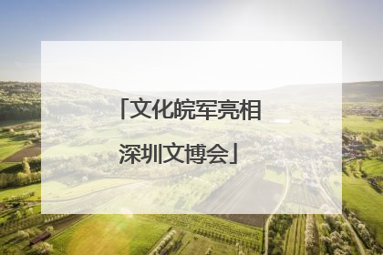 文化皖军亮相深圳文博会