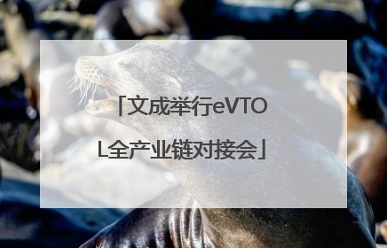文成举行eVTOL全产业链对接会