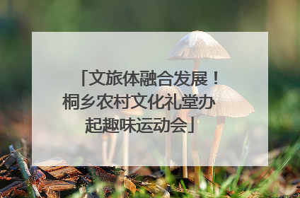 文旅体融合发展！桐乡农村文化礼堂办起趣味运动会