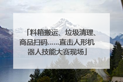 料箱搬运、垃圾清理、商品扫码……直击人形机器人技能大赛现场