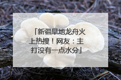 新疆旱地龙舟火上热搜！网友：主打没有一点水分