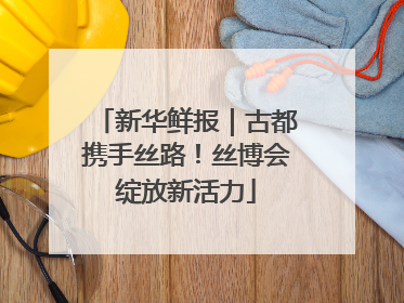 新华鲜报｜古都携手丝路！丝博会绽放新活力