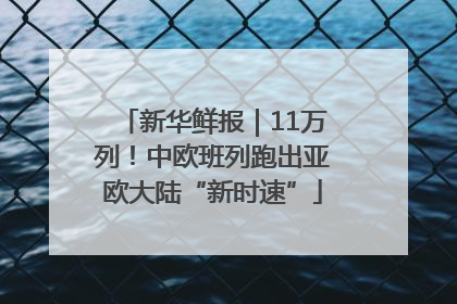 新华鲜报｜11万列！中欧班列跑出亚欧大陆“新时速”