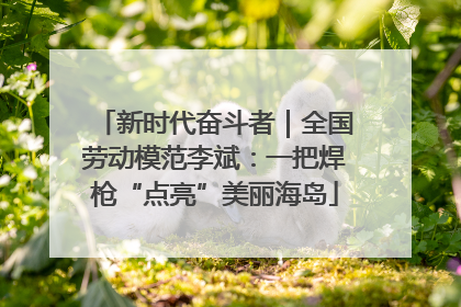 新时代奋斗者｜全国劳动模范李斌：一把焊枪“点亮”美丽海岛