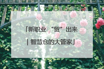 新职业 “贸”出来｜智慧仓的大管家
