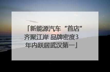 新能源汽车“首店”齐聚江岸 品牌密度3年内跃居武汉第一