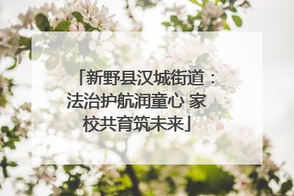 新野县汉城街道：法治护航润童心 家校共育筑未来