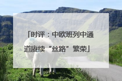 时评：中欧班列中通道赓续“丝路”繁荣