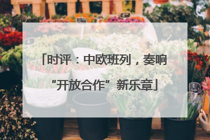 时评：中欧班列，奏响“开放合作”新乐章