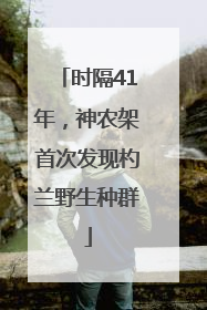 时隔41年，神农架首次发现杓兰野生种群