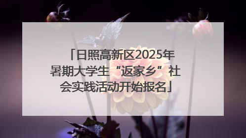 日照高新区2025年暑期大学生“返家乡”社会实践活动开始报名