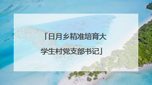 日月乡精准培育大学生村党支部书记