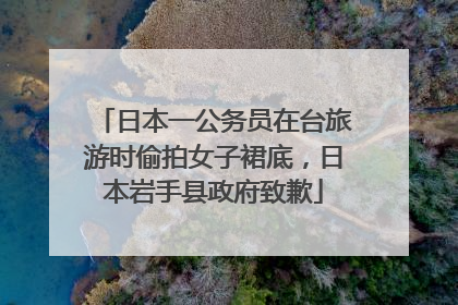 日本一公务员在台旅游时偷拍女子裙底，日本岩手县政府致歉