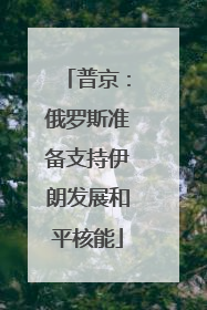 普京：俄罗斯准备支持伊朗发展和平核能