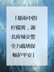 暴雨中的柠檬黄，湖北应城交警全力疏堵保畅护平安