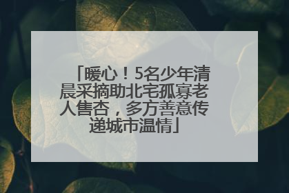 暖心！5名少年清晨采摘助北宅孤寡老人售杏，多方善意传递城市温情