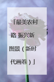 最美农村路 振兴新图景（新时代画卷）