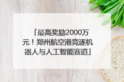最高奖励2000万元！郑州航空港竞逐机器人与人工智能赛道