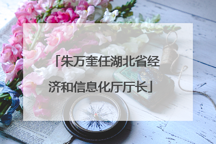 朱万奎任湖北省经济和信息化厅厅长