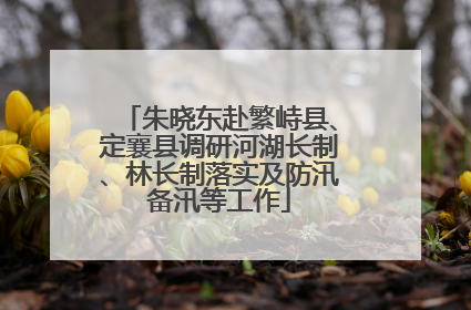 朱晓东赴繁峙县、定襄县调研河湖长制、林长制落实及防汛备汛等工作
