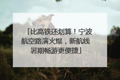 比高铁还划算！宁波航空路演火爆，新航线暑期畅游更便捷