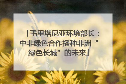毛里塔尼亚环境部长：中非绿色合作播种非洲“绿色长城”的未来