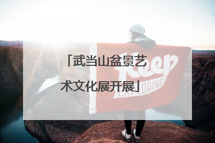 武当山盆景艺术文化展开展