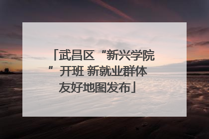 武昌区“新兴学院”开班 新就业群体友好地图发布