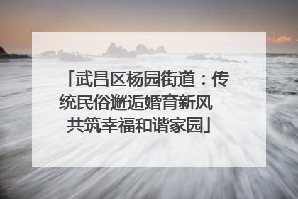 武昌区杨园街道：传统民俗邂逅婚育新风 共筑幸福和谐家园