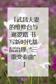 武昌夫妻的维修台与巡逻路 书写新时代基层治理“三重变奏曲”