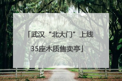 武汉“北大门”上线35座木质售卖亭