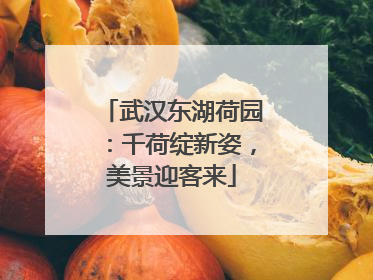 武汉东湖荷园：千荷绽新姿，美景迎客来