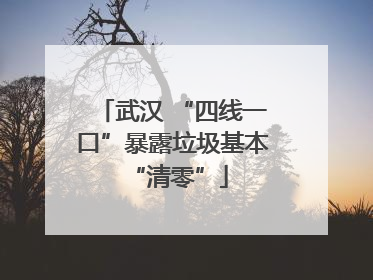 武汉 “四线一口”暴露垃圾基本 “清零”
