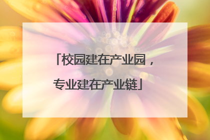 校园建在产业园，专业建在产业链