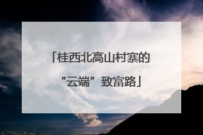 桂西北高山村寨的“云端”致富路