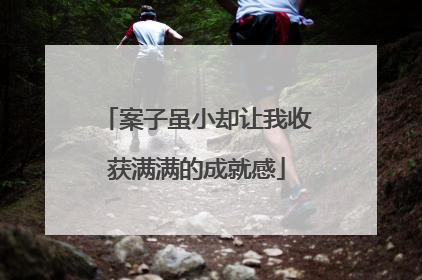 案子虽小却让我收获满满的成就感